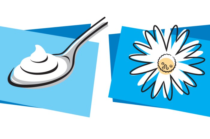 Vancouver Graphic Designer and Illustrator, Graphic Design, Communication Design, Illstration, Digital Illustration, Icons, Logos